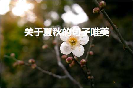 关于夏秋的句子唯美（文案263条）