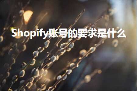 跨境电商知识:Shopify账号的要求是什么